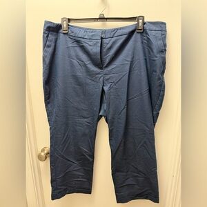 Lane Bryant Navy Straight Leg Pants